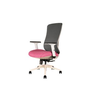 صندلی کارشناسی آراز MESH EZ 2301 T