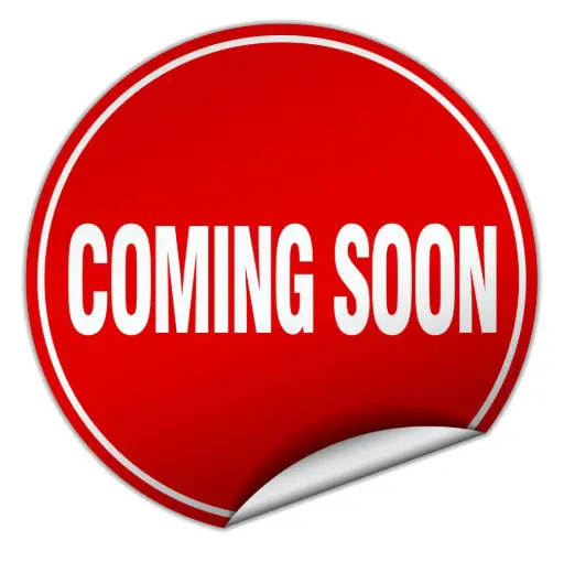 کاناپه سه نفره چپندر ایتالیایی (COMING SOON)